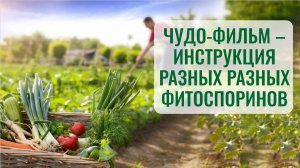 Паста Фитоспорин и Фитоспорин-АС жидкий. Что выбрать? Советует эксперт.