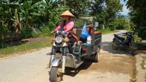 Вьетнамская трудяга, Хуонг и огромная щука, ловля рыбы и продажа на местном рынке.