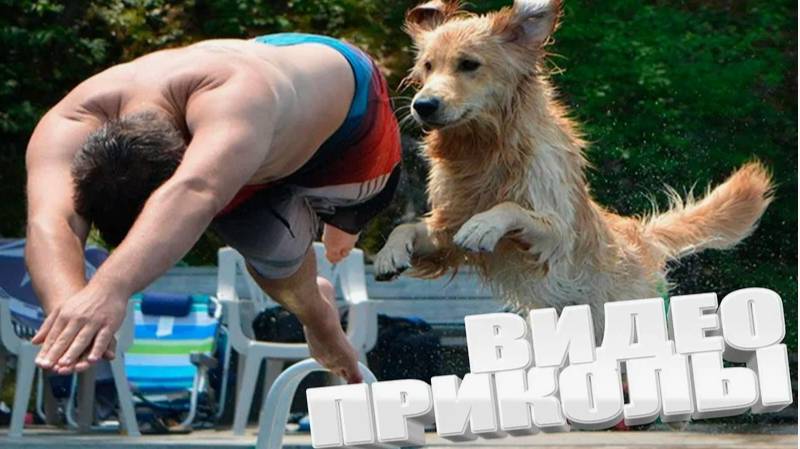 КРУТЫЕ ПРИКОЛЫ 2025 \ НОВЫЕ ПРИКОЛЫ \ СМЕШНЫЕ ПРИКОЛЫ 2025 смотреть онлайн