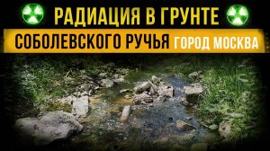 ☢ Радиация в грунте Соболевского ручья. Город Москва.