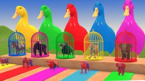 Мультики про животных для детей. Транспортировка машин на гусях. Смотреть мультики для малышей