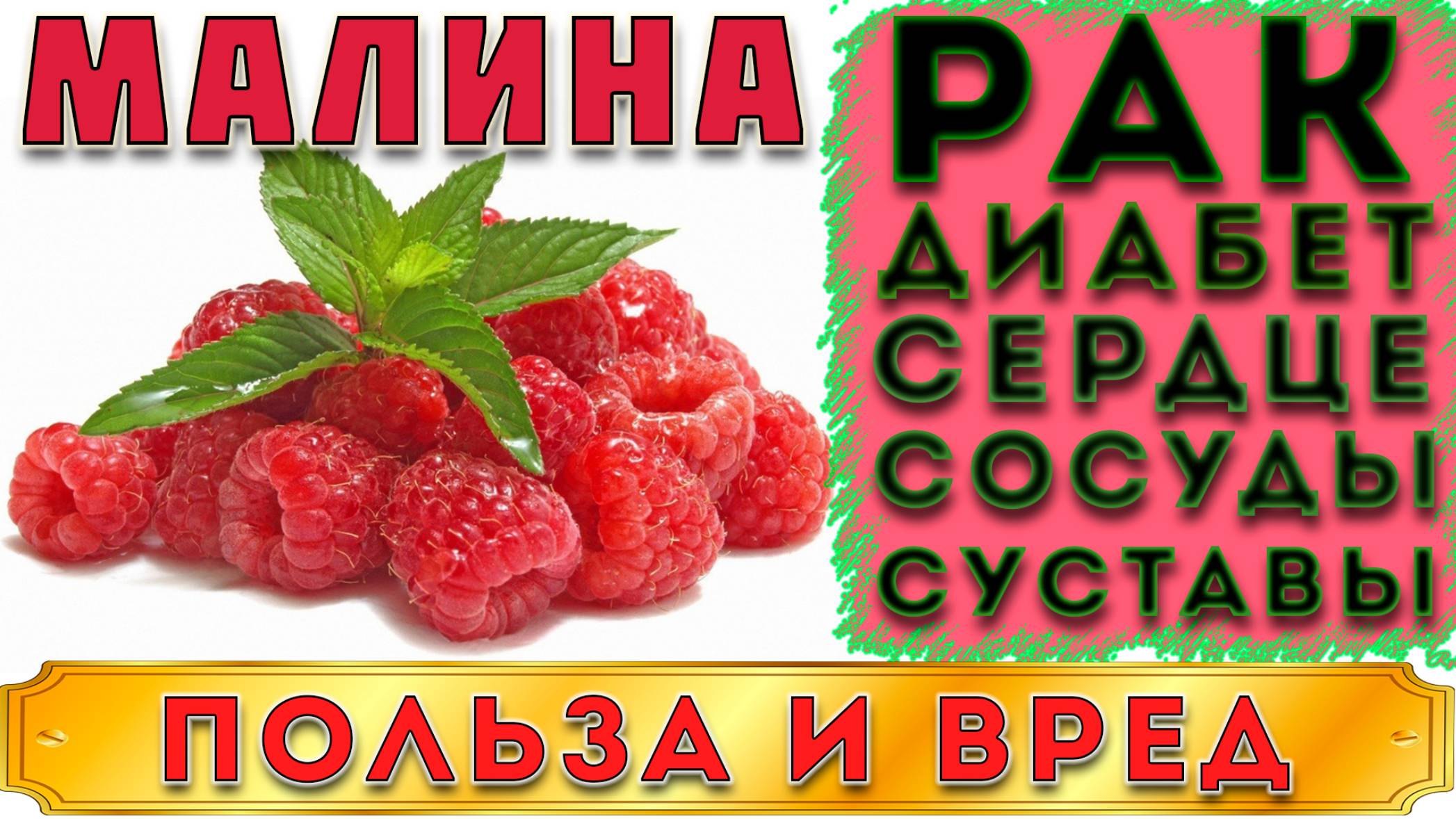 МАЛИНА - ПОЛЬЗА И ВРЕД (ПРЕДКИ ЛЮБИЛИ ЭТУ ЯГОДУ И ИСПОЛЬЗОВАЛИ ЕЁ НЕ ТОЛЬКО КАК ЕДУ) смотреть онлайн