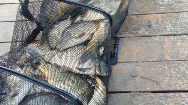 WhatsApp Video 2025-07-31 at 07.08.51 смотреть онлайн