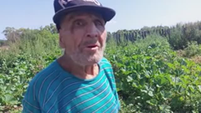 Дед Матвей продал козу. смотреть онлайн