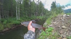 На ЭТОМ Свале в ЯМУ Хариус КИШИТ/ Таскаю ХАРИУСА ОДИН ЗА ОДНИМ на Удочку/ Рыбалка на Таёжной Речке!