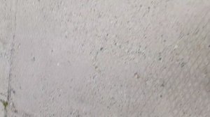 идём за игрушками