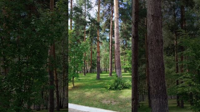 Царство: мечта или реальность?