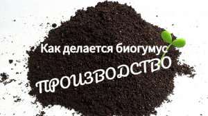 Производство Биогумуса, весь процесс