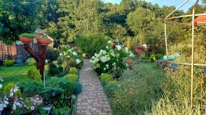 Моя любимая дача на 01.08.2025 г.🌞💚🌸