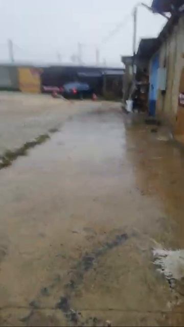 24 ОКТЯБРЯ МЕСТО СНЕГА ДОЖДИК