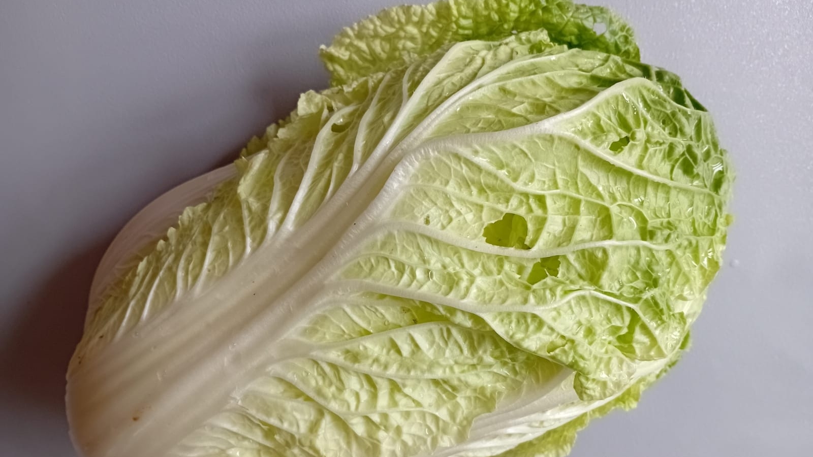 СУП С БРЫНЗОЙ И ПЕКИНСКОЙ КАПУСТОЙ смотреть онлайн