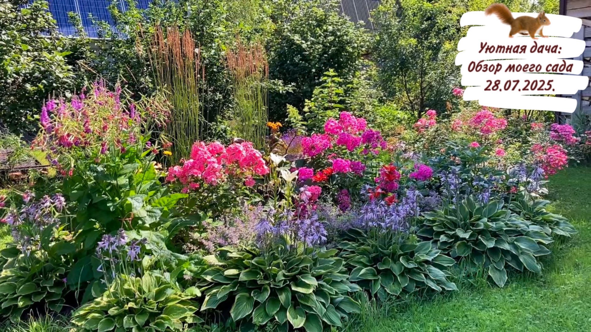 Уютная дача: Обзор моего сада 28.07.2025. смотреть онлайн