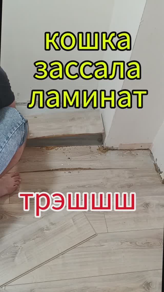 Ремонт в убитой квартирантами квартире