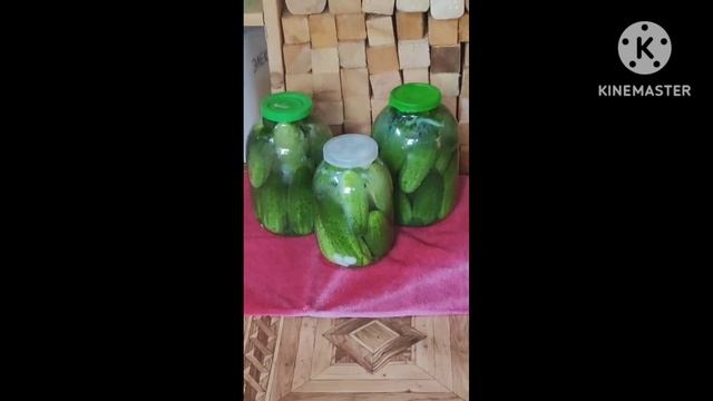 Выросли огурцы. смотреть онлайн