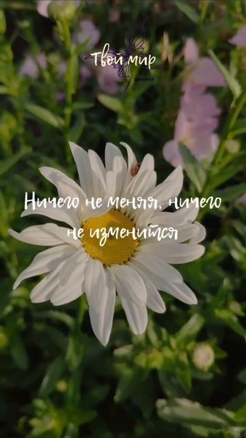 Твой Мир | Мысли