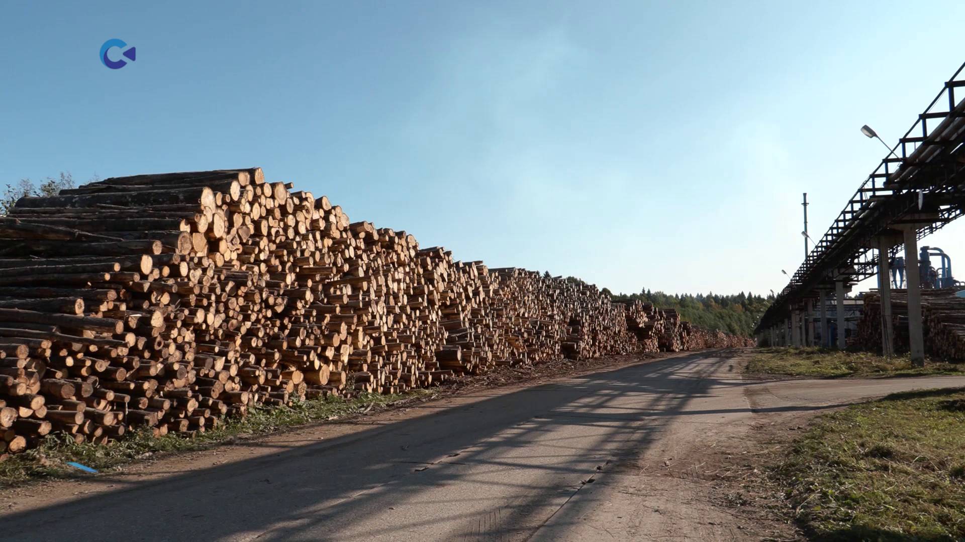 Заводу «Карелия ДСП» в посёлке Пиндуши грозит банкротство смотреть онлайн