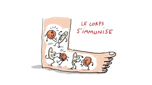 Pourquoi_certains_vaccins_sont_ils_obligatoires_？_1_jour,_1_question