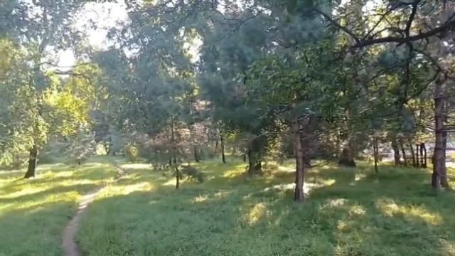 Видеозарисовки из парка Динамо г.Хабаровск