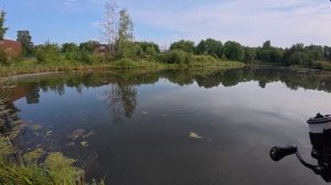 Карась на спиннинг. Мормышинг. Поимки и поклевки