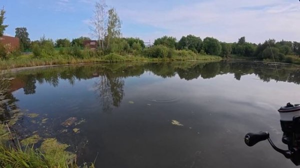 Карась на спиннинг. Мормышинг. Поимки и поклевки