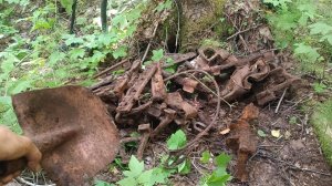 Удачная разведка!!! Нашёл тракторную стоянку !!!