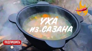 Уха из сазана на костре: Просто, быстро, невероятно вкусно!