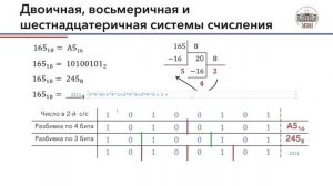 ИТ теория-3 (Информатика)