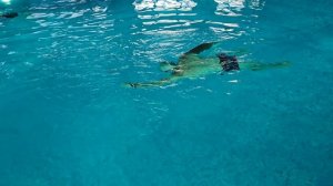 Санаторий Дугино