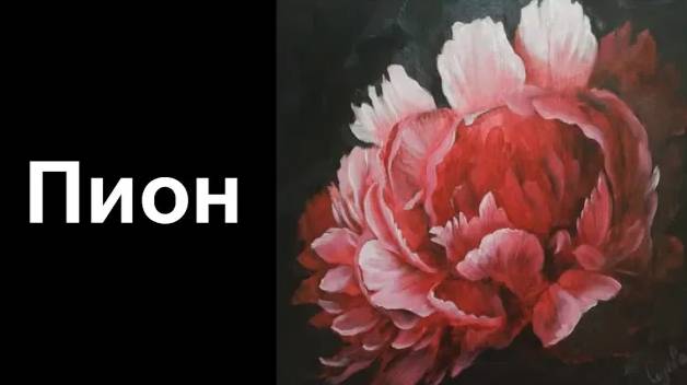 Пион портретный роки со скидкой 90 процентов ссылка в описании ролика смотреть онлайн