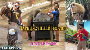 ПАРК ДЖУНГЛЕЙ И ОРЛОВ. Jungle Park. Tenerife