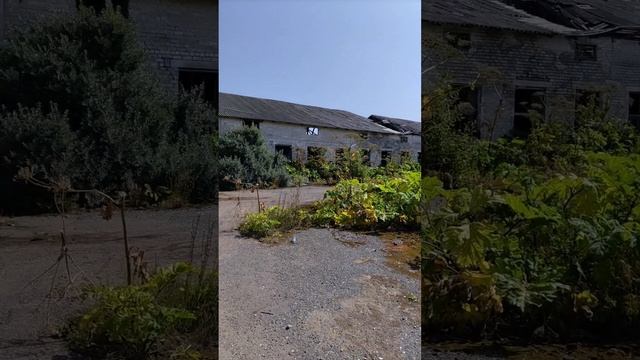 ФГУП УЧХОЗ ЧИСТЫЕ ПРУДЫ