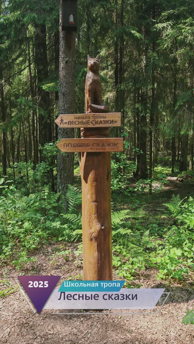 Школьная тропа Лесные сказки