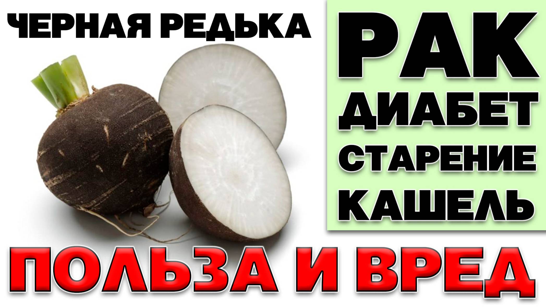 ЧЕРНАЯ РЕДЬКА - ПОЛЬЗА И ВРЕД (ЛУЧШИЙ КОРНЕПЛОД ПО СОСТАВУ МАКРО И МИКРОЭЛЕМЕНТОВ) смотреть онлайн