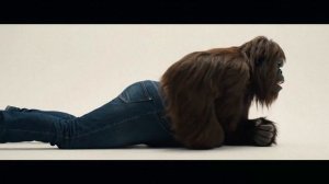 Реклама джинсов Sydney Sweeney, которую они не хотят, чтобы вы видели, с участием Снежного человека