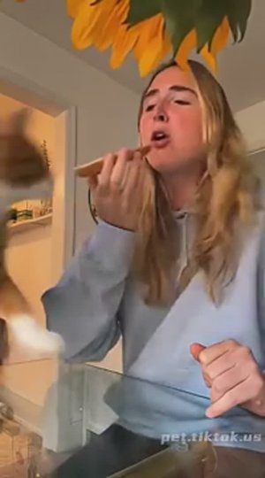 Приколюхи с кошаками