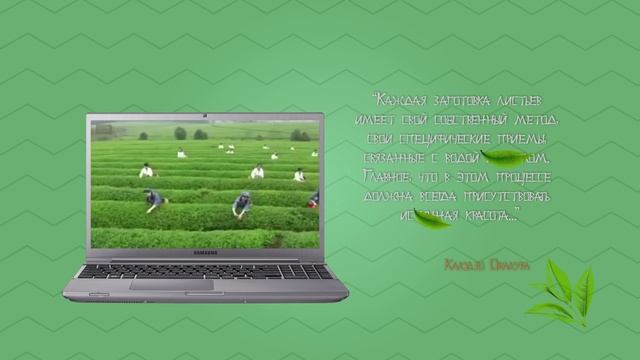 Магия чая смотреть онлайн