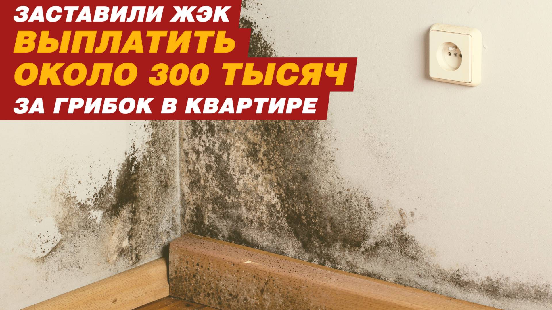 300 ТЫСЯЧ ЗА ГРИБОК В КВАРТИРЕ! смотреть онлайн
