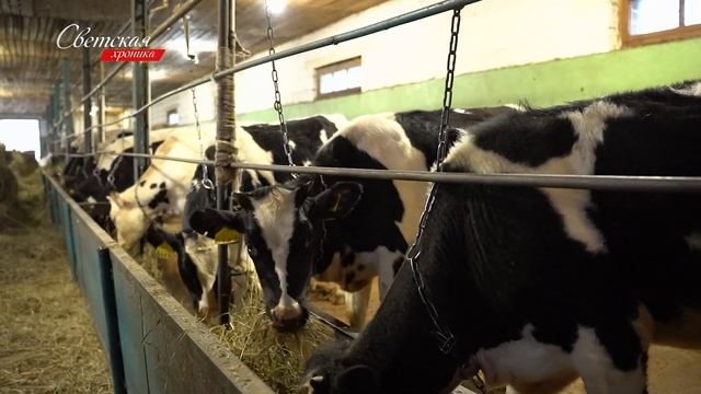 Экс солист легендарной группы «Bad Boys Blue» собирается переехать в российскую глубинку смотреть онлайн