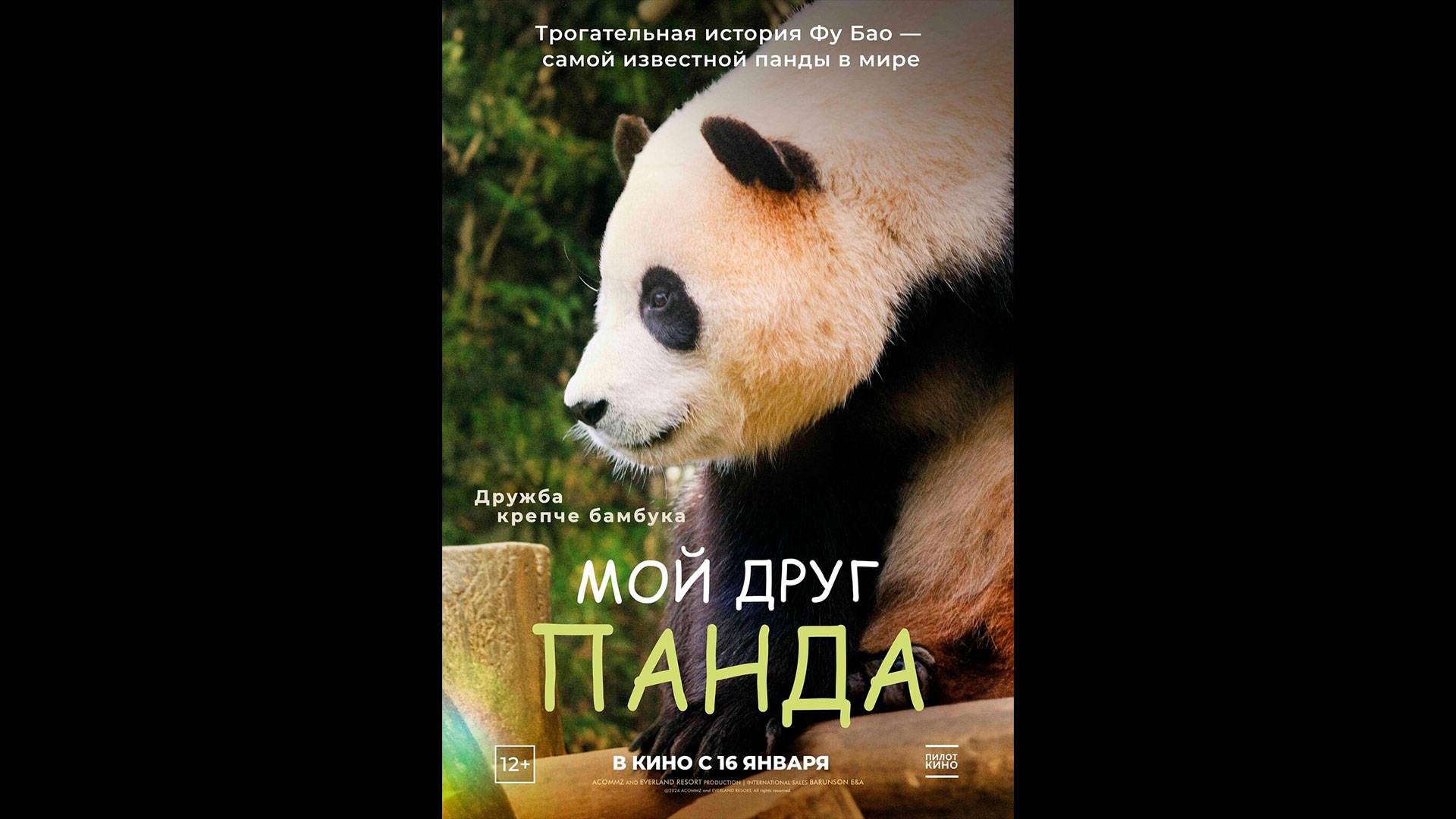Мой друг панда Русский трейлер смотреть онлайн