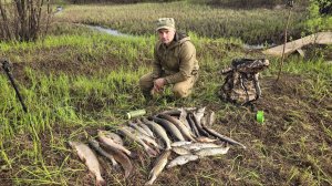 ЩУКИ КИДАЮТСЯ ОДНА ЗА ОДНОЙ. РЫБАЛКА НА СПИННИНГ В РУЧЬЕ. Рыба жадно брала на малые приманки.