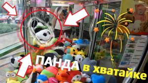 ВЫИГРАЛ панду в АВТОМАТЕ-ХВАТАЙКЕ!!! Панда в автомате-хватайке любимого владельца 🐼