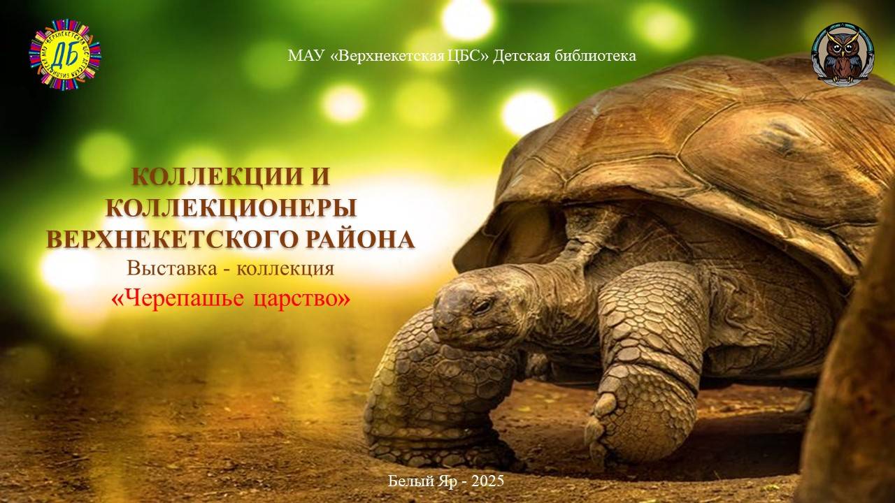 ЧЕРЕПАШЬЕ ЦАРСТВО (Живут на свете чудаки и имя им – коллекционеры, вып.9) смотреть онлайн