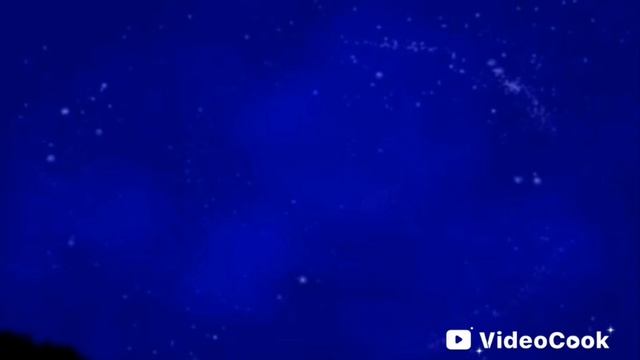 КОТЫ-ВОИТЕЛИ СТАНЬ ДИКИМ РАЗГОВОР СИНЕЙ ЗВЕЗДЫ И ПЕСТРОЛИСТОЙ. смотреть онлайн