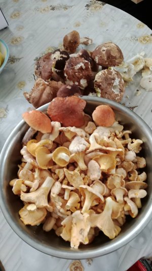 Ждём завтра гостей...готовимся...