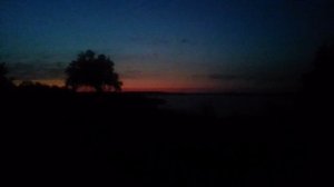 VID_20250801_203951.mp4