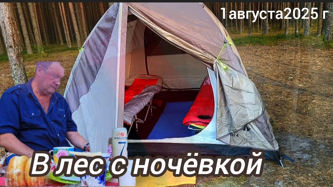 В лес с ночёвкой.. смотреть онлайн