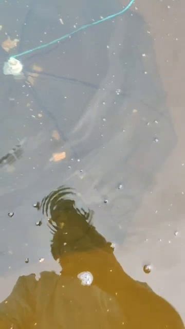 Лучшая наживка смотреть онлайн