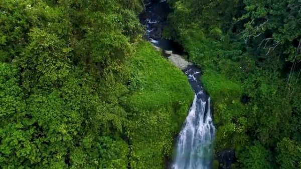 РЕЛАКС МУЗЫКА !