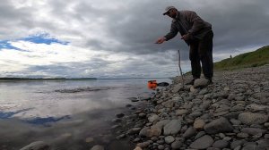 Рыбалка активная и результативная.)))