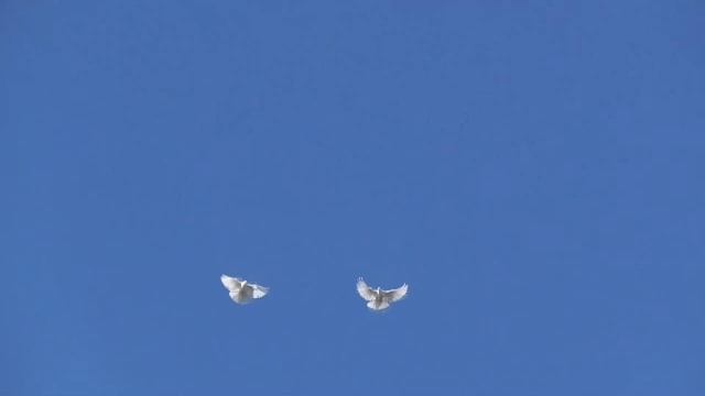 КОМЕДИЯ РОК Хочу Любви!!!))) смотреть онлайн